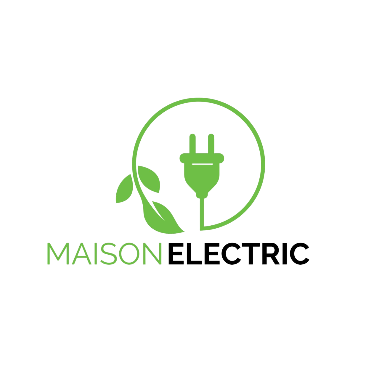 logo maison electric